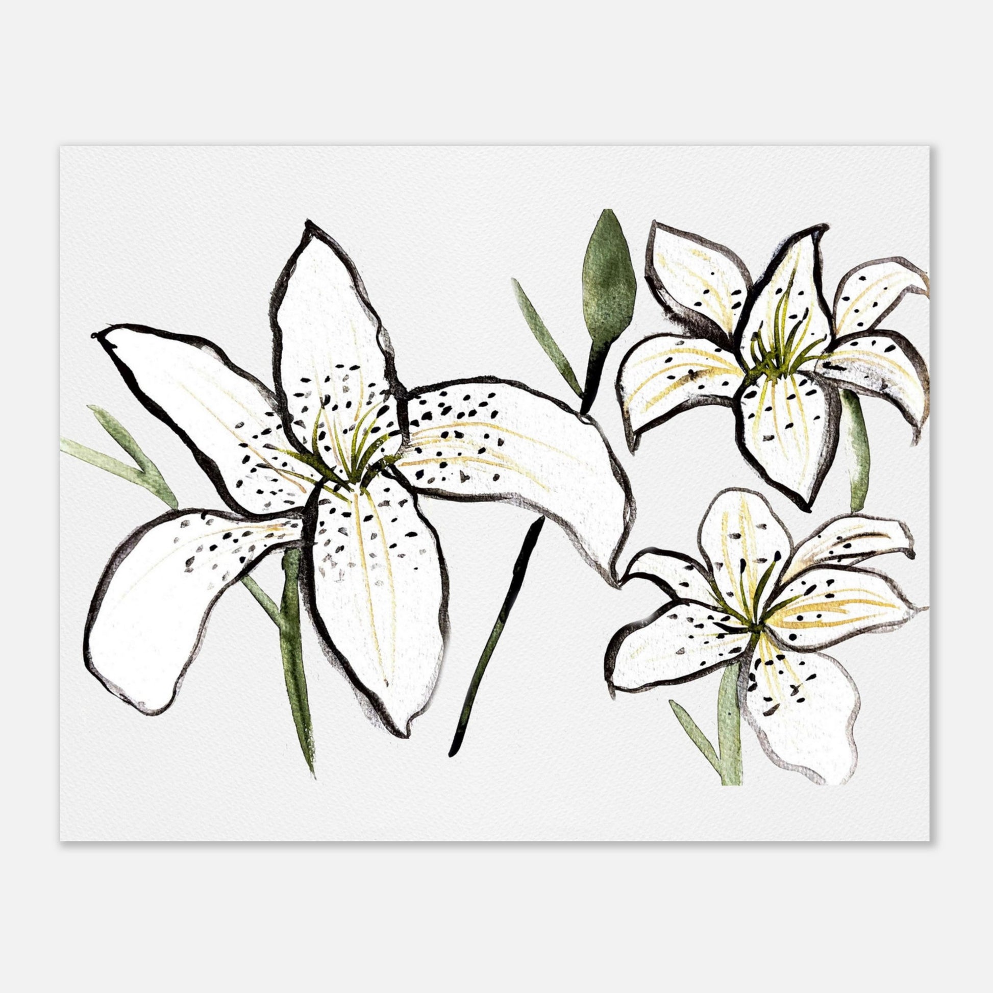 tiger lily watercolor Black & White Tiger Lily Hand-Painted Watercolor Print – Bold Floral A –  The Maximalista Atelier