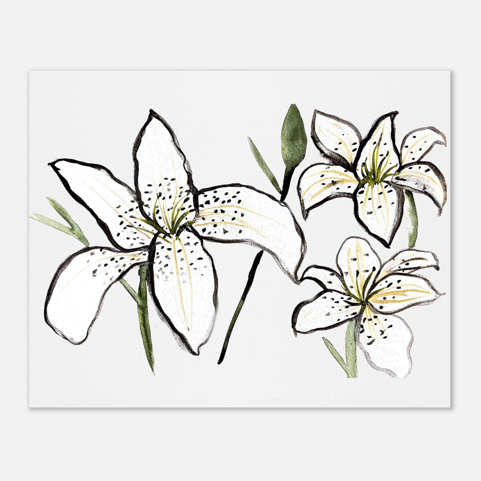 black and white lily painting Black & White Tiger Lily Hand-Painted Watercolor Print – Bold Floral A – The Maximalista Atelier