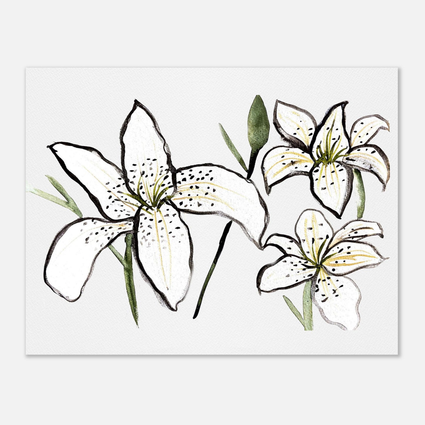 white tiger lily w101 Black & White Tiger Lily Hand-Painted Watercolor Print – Bold Floral A –  The Maximalista Atelier